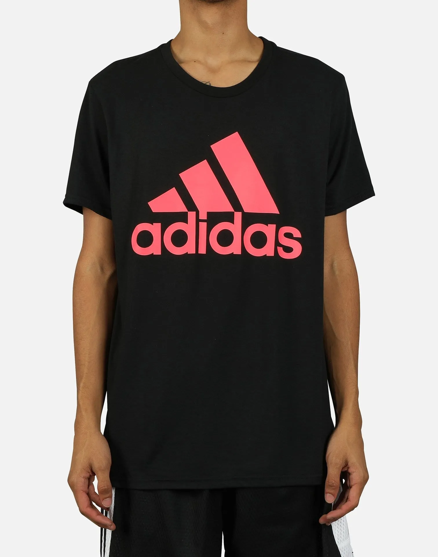 Adidas BADGE OF SPORT LOGO GRAPHIC TEE